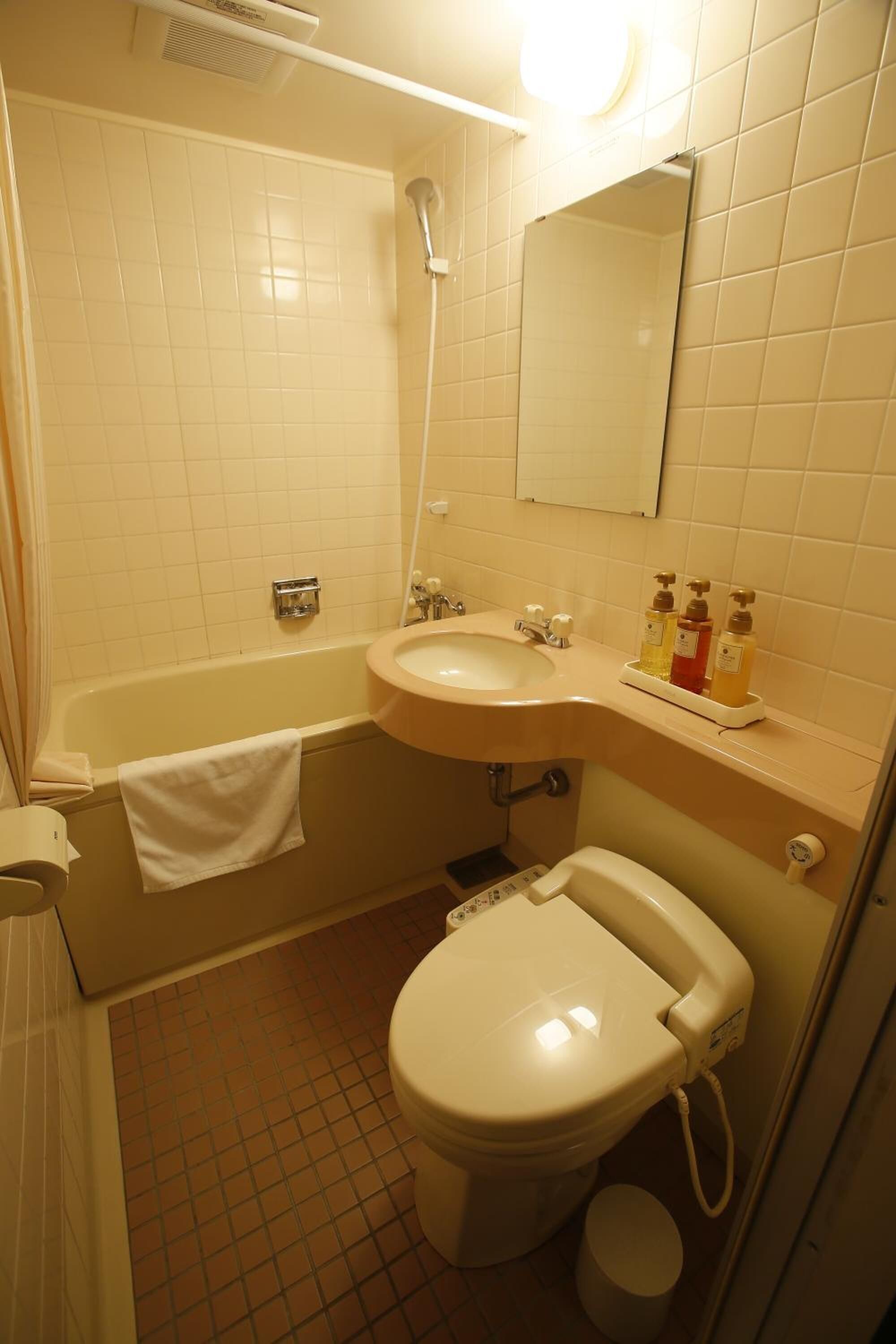 combined shower/bathtub, free toiletries, hair dryer, bidet