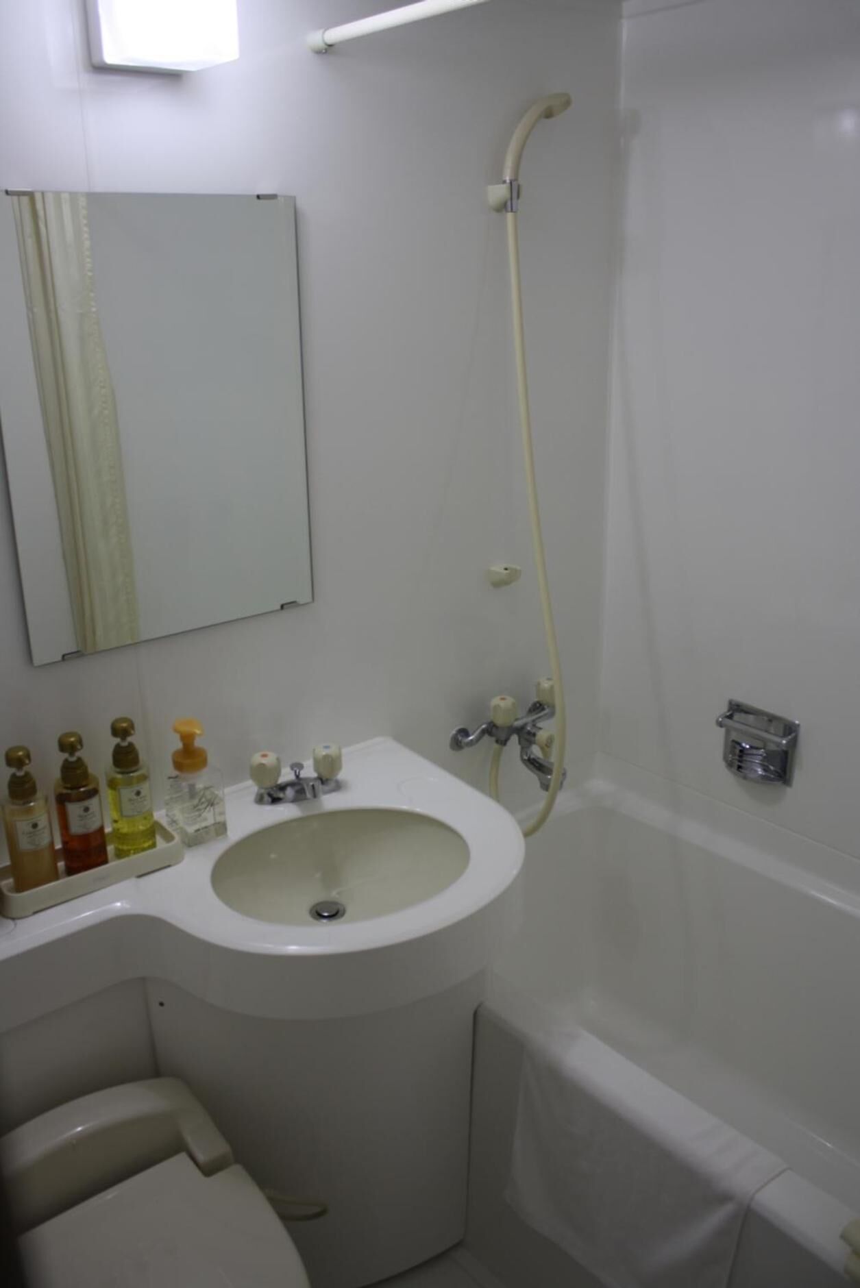 combined shower/bathtub, free toiletries, hair dryer, bidet