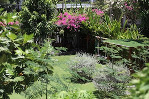Garden view