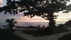 Escena de playa con un árbol grande que da sombra, una palmera y vista al océano al atardecer.