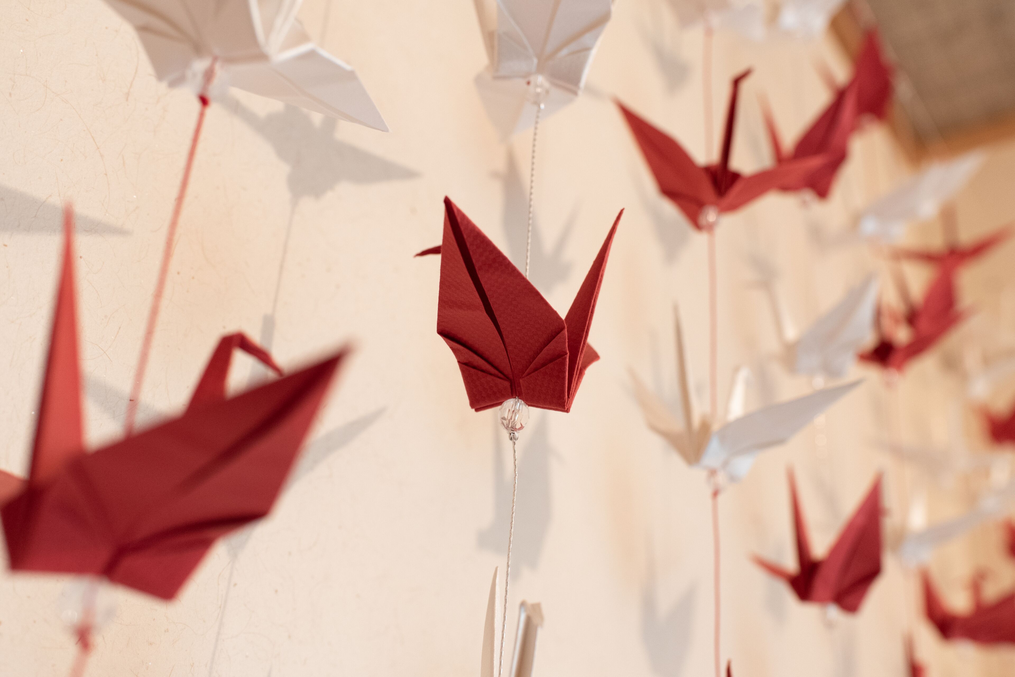 A wall with multiple origami birds hanging from strings.
