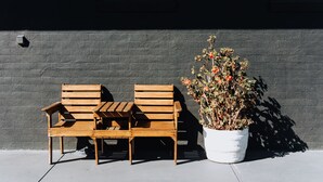 Two wooden benches and a potted plant against a grey wall. - Tamworth City Motel (South Tamworth)