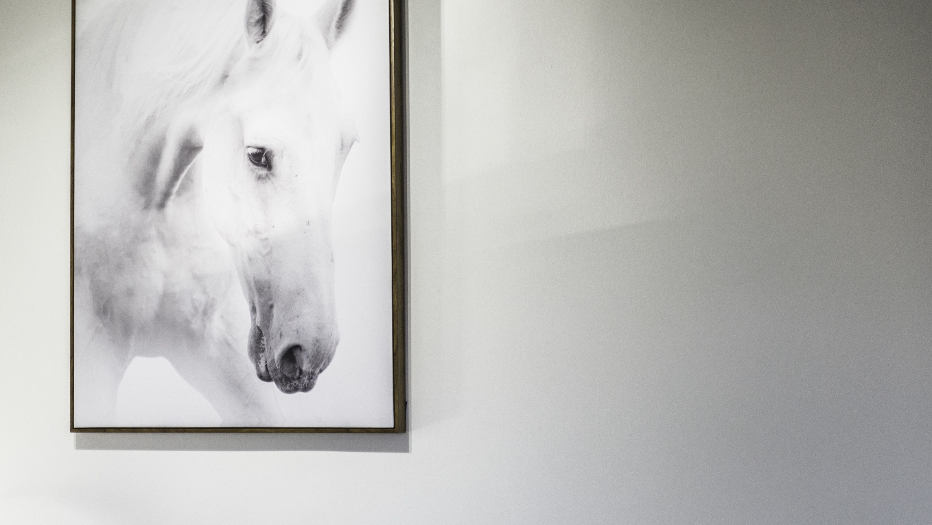 A framed artwork of a horse's head on a plain wall.