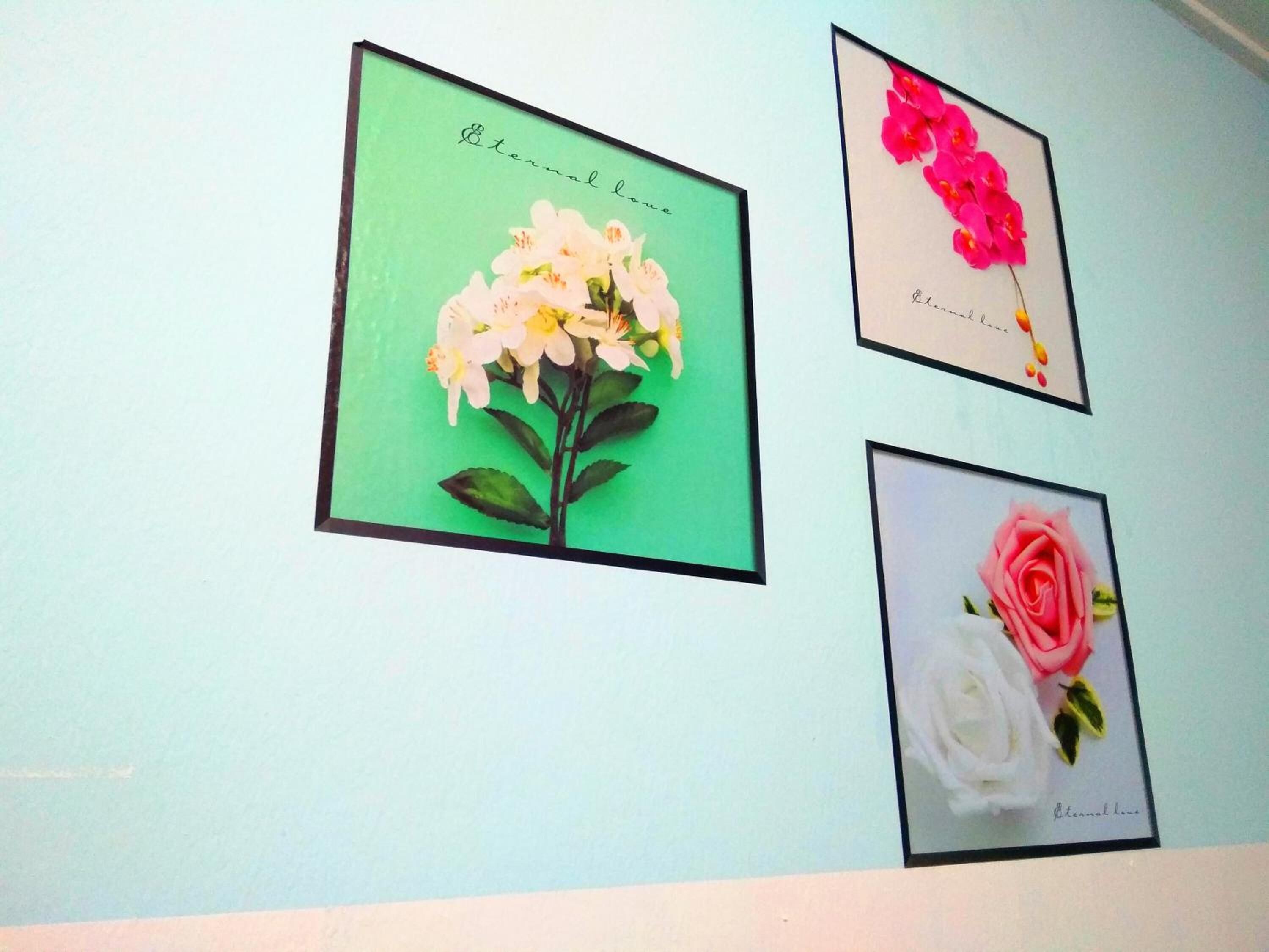Drie ingekaderde bloemkunstwerken aan een muur.