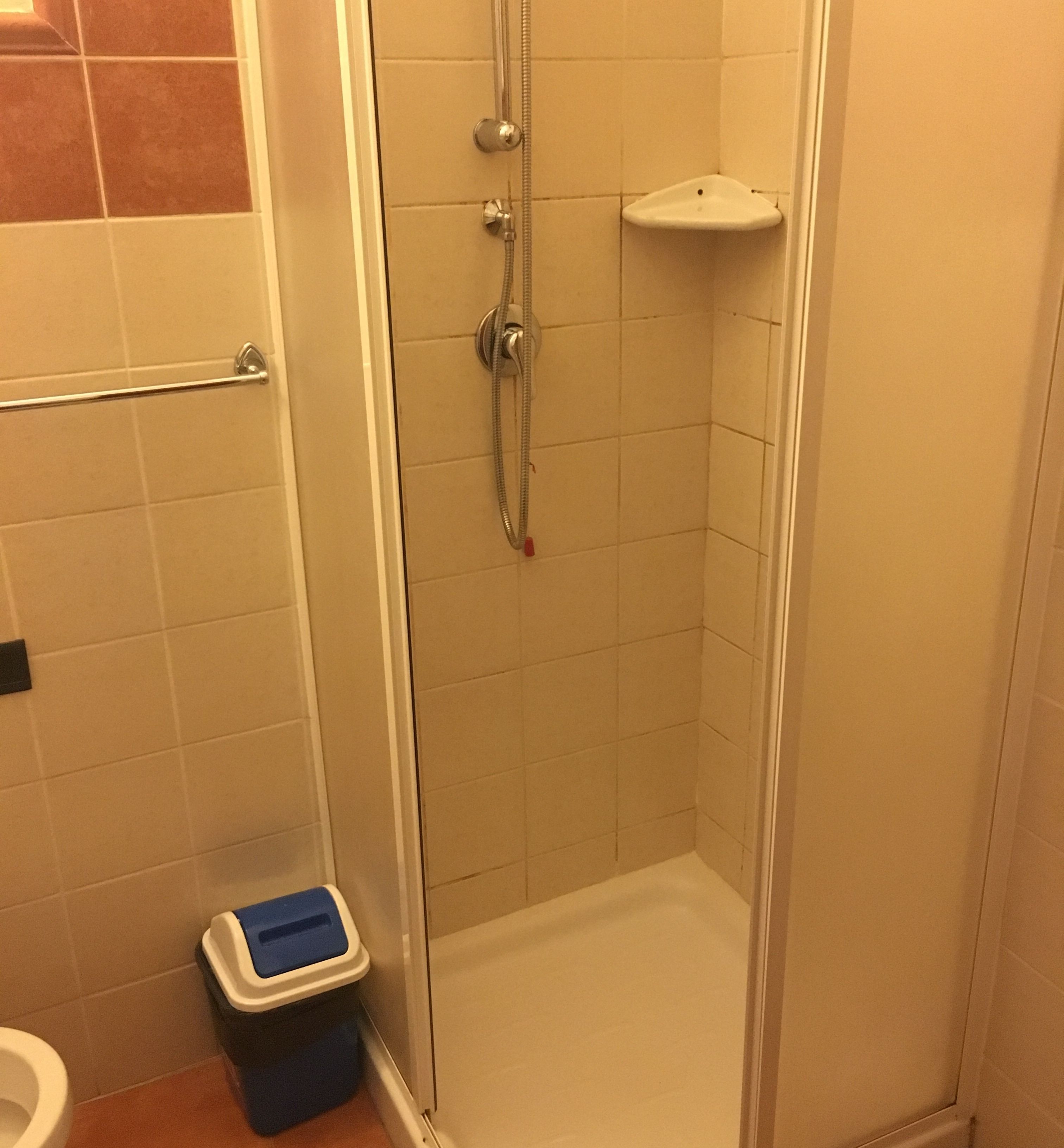 A small, enclosed shower area with a glass door, a white sink, and a trash bin.