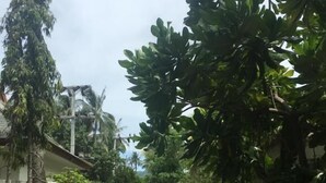 A narrow, paved pathway flanked by lush greenery and white walls, leading to a distant structure. - Baan Promjan (Koh Samui)