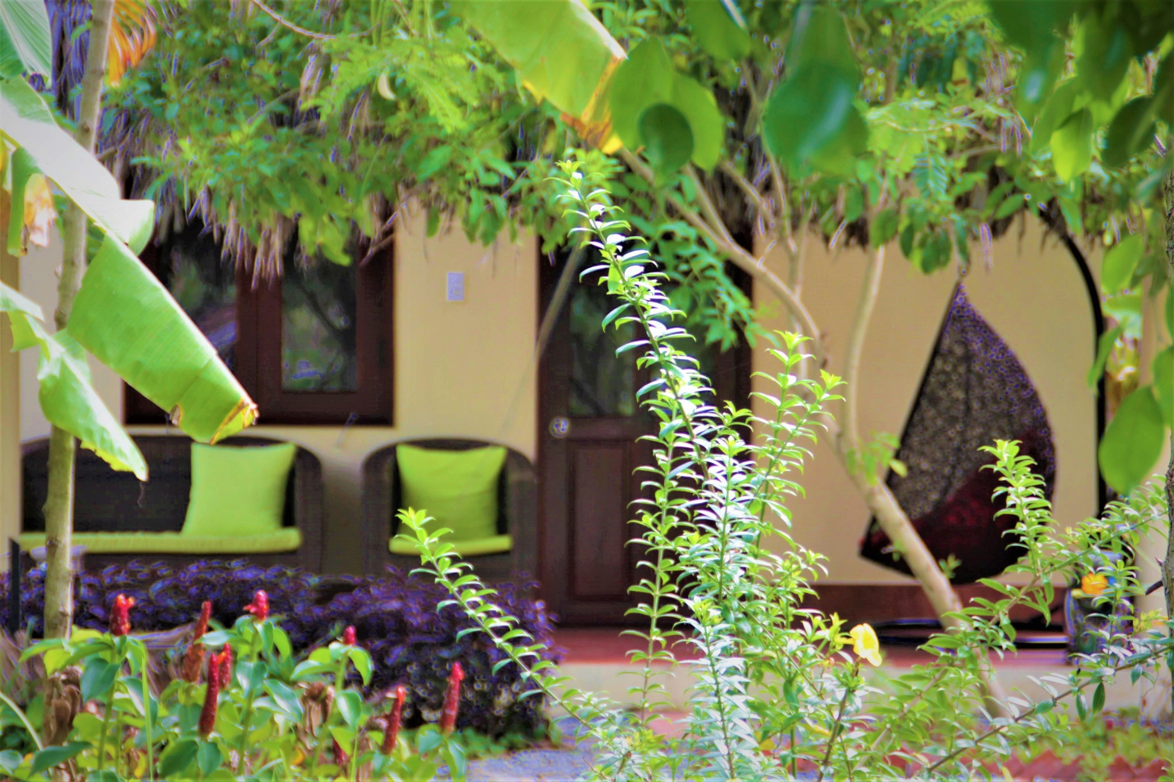 A garden with a variety of plants and a seating area with green cushions.