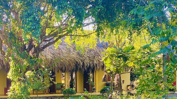 A serene pond with lily pads and a thatched-roof structure in the background.
