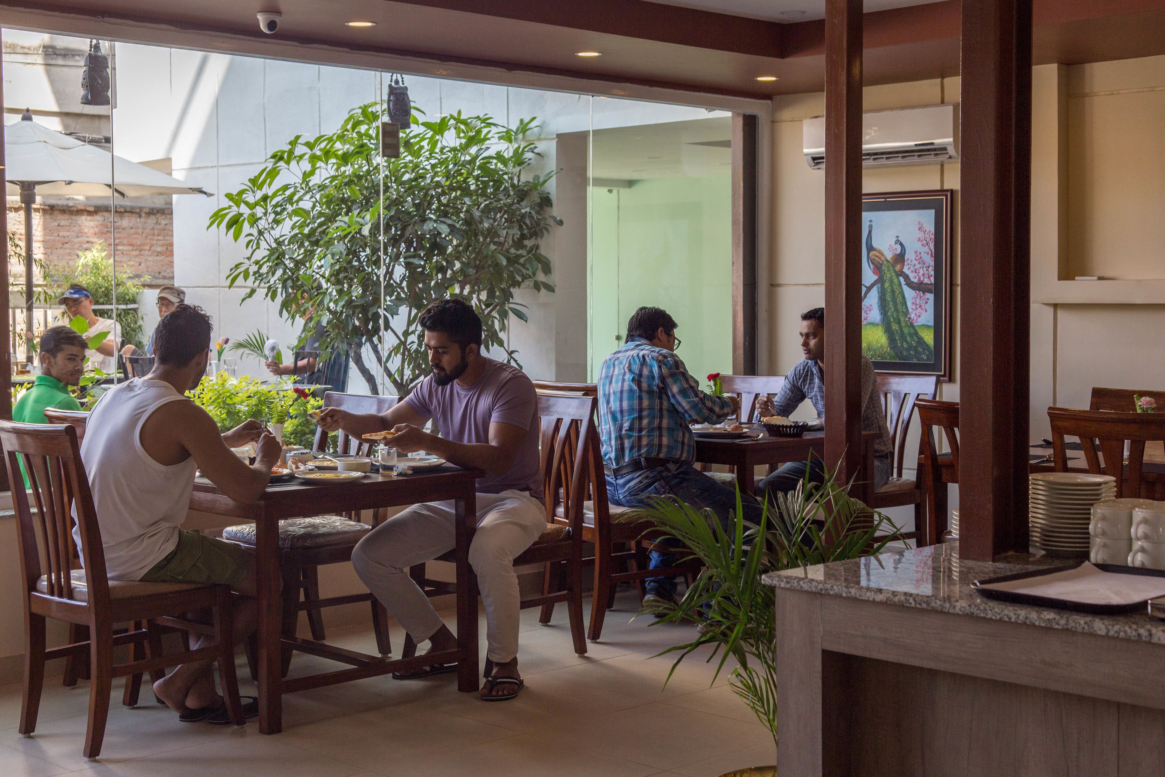 A restaurant with wooden furniture and a large plant in the center.
