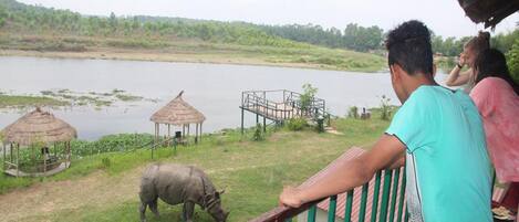 Vistas desde el alojamiento