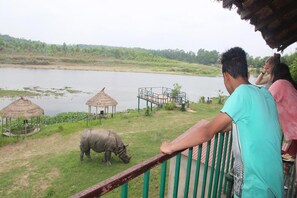 View from property - Jungle Sunset Camp (Sauraha)