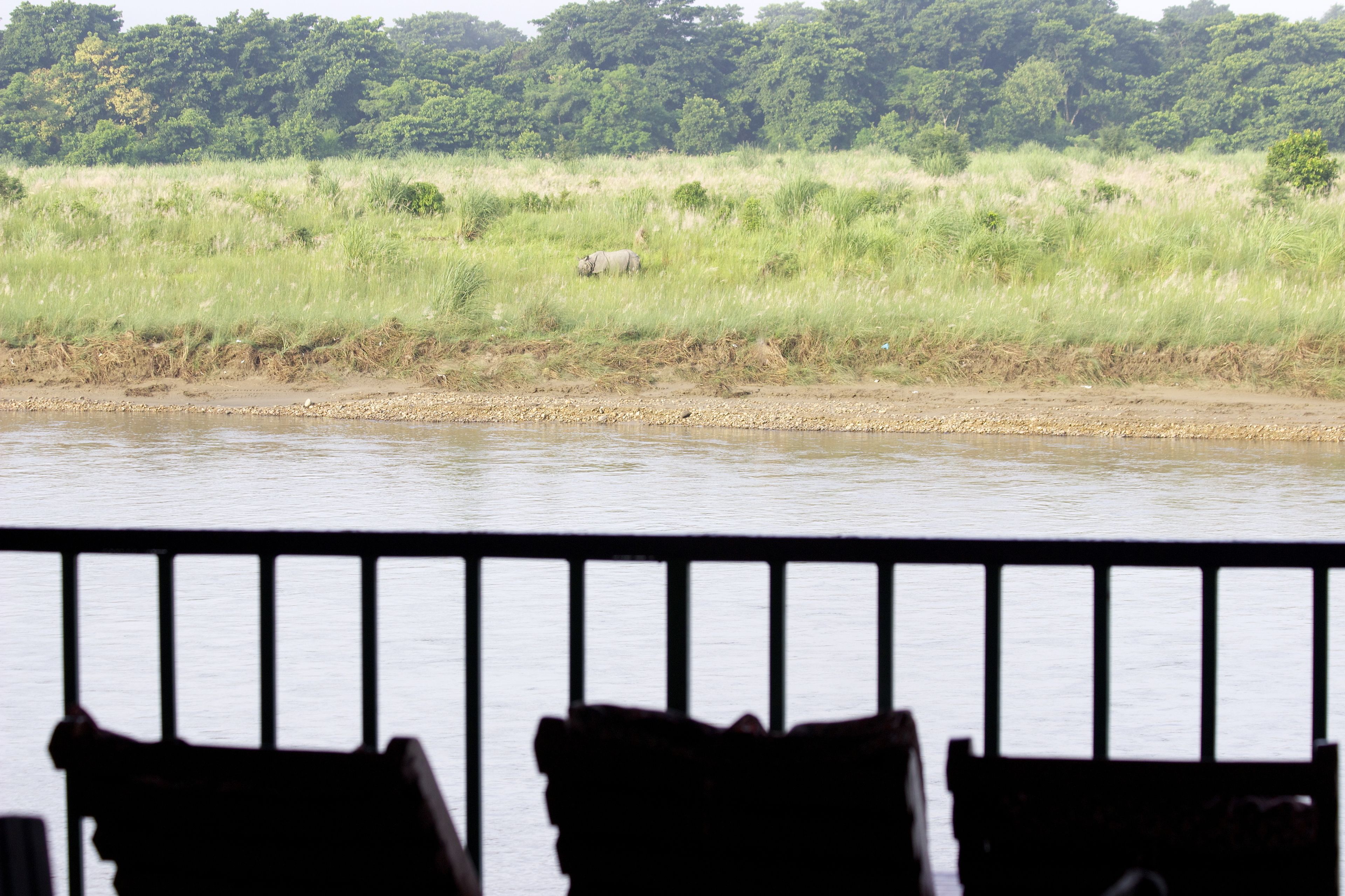 A view from a balcony overlooking a river with a grassy bank and trees in the background.