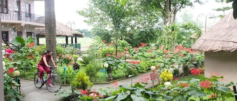 Tuin