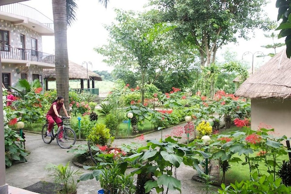 Giardino