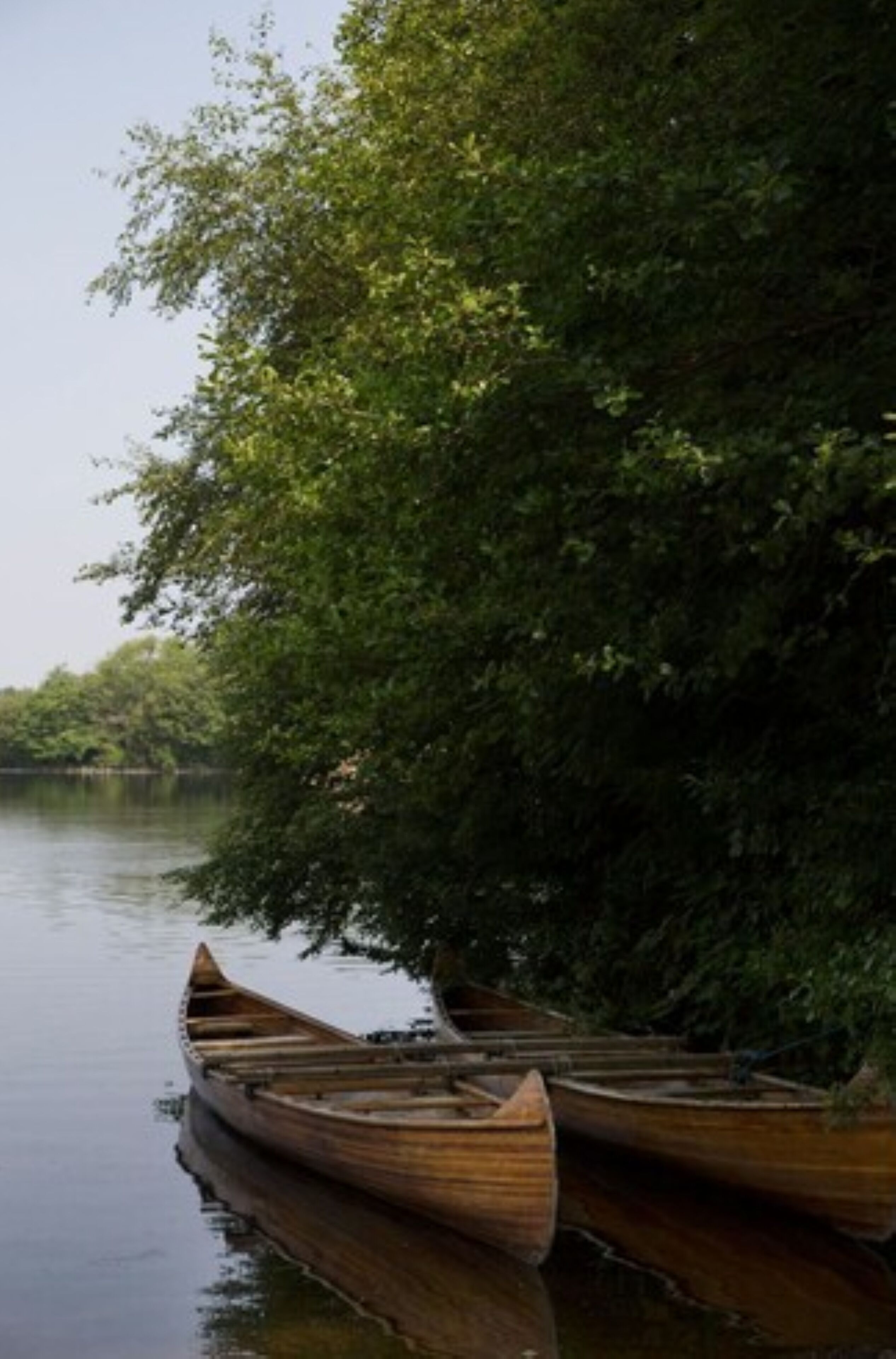 Una hilera de barcos de madera amarrados a un río tranquilo, rodeados de densa vegetación.