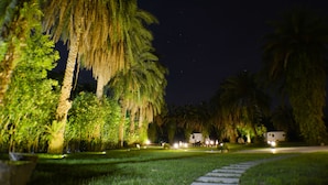 Vista noturna de um parque bem iluminado, com palmeiras e um caminho que leva a uma RV branca.