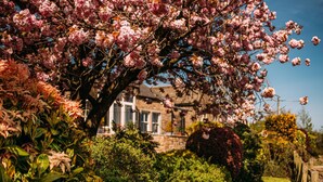 Un jardín con flores rosas en flor y un edificio de piedra al fondo.