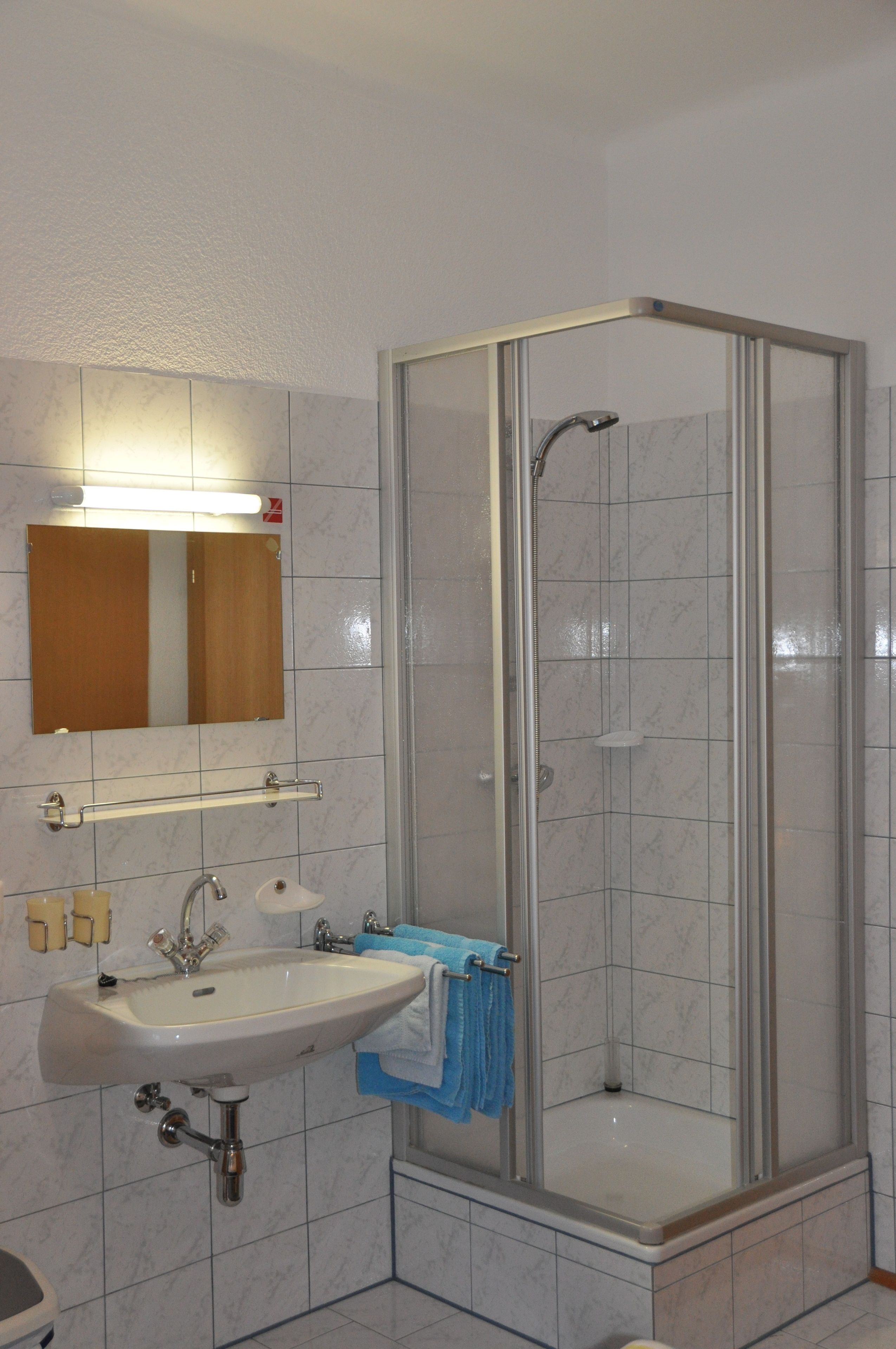 Une salle de bain avec une douche à parois de verre, un lavabo et un miroir.