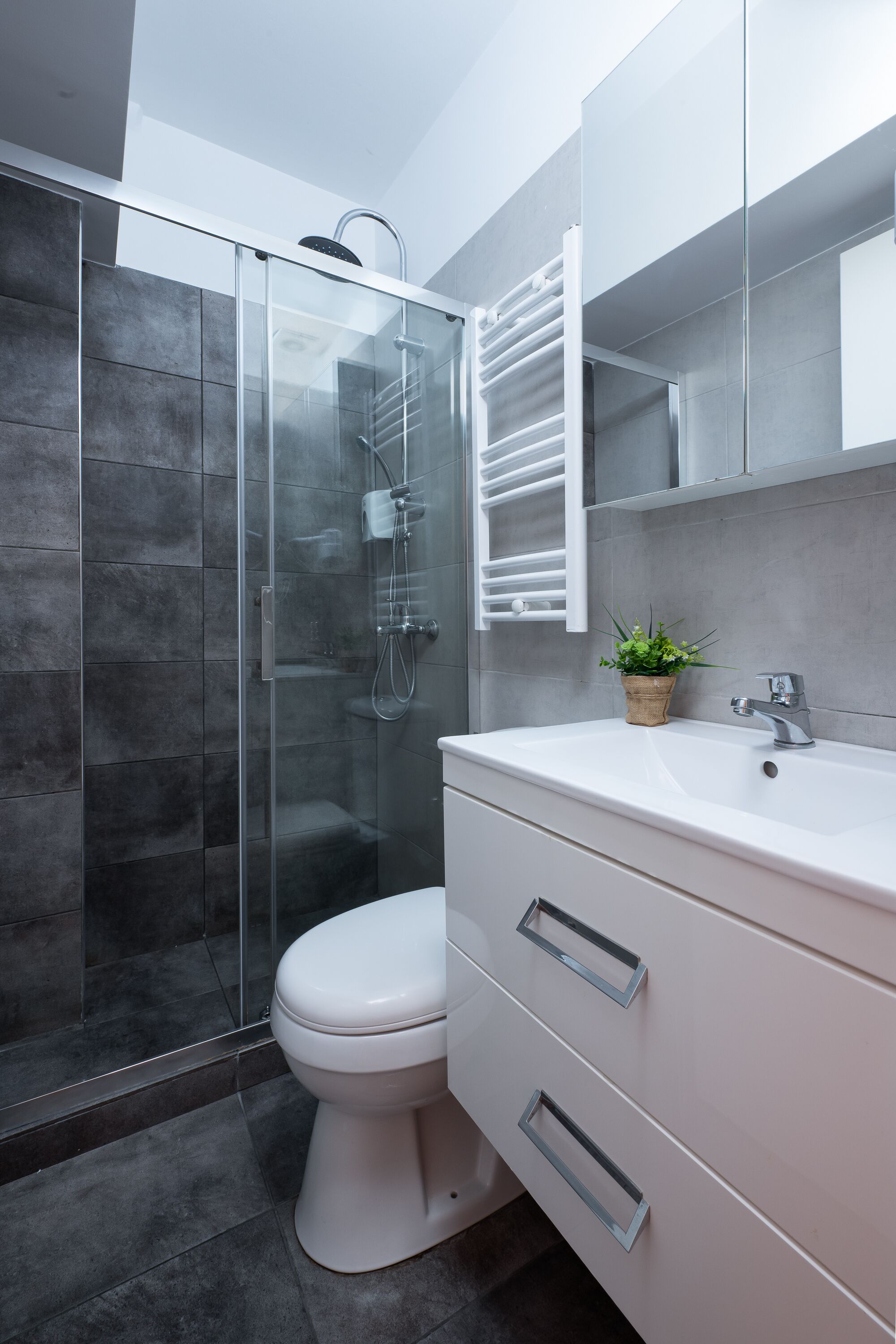 A modern bathroom with a glass shower enclosure, a white toilet, and a vanity with a sink and mirror.