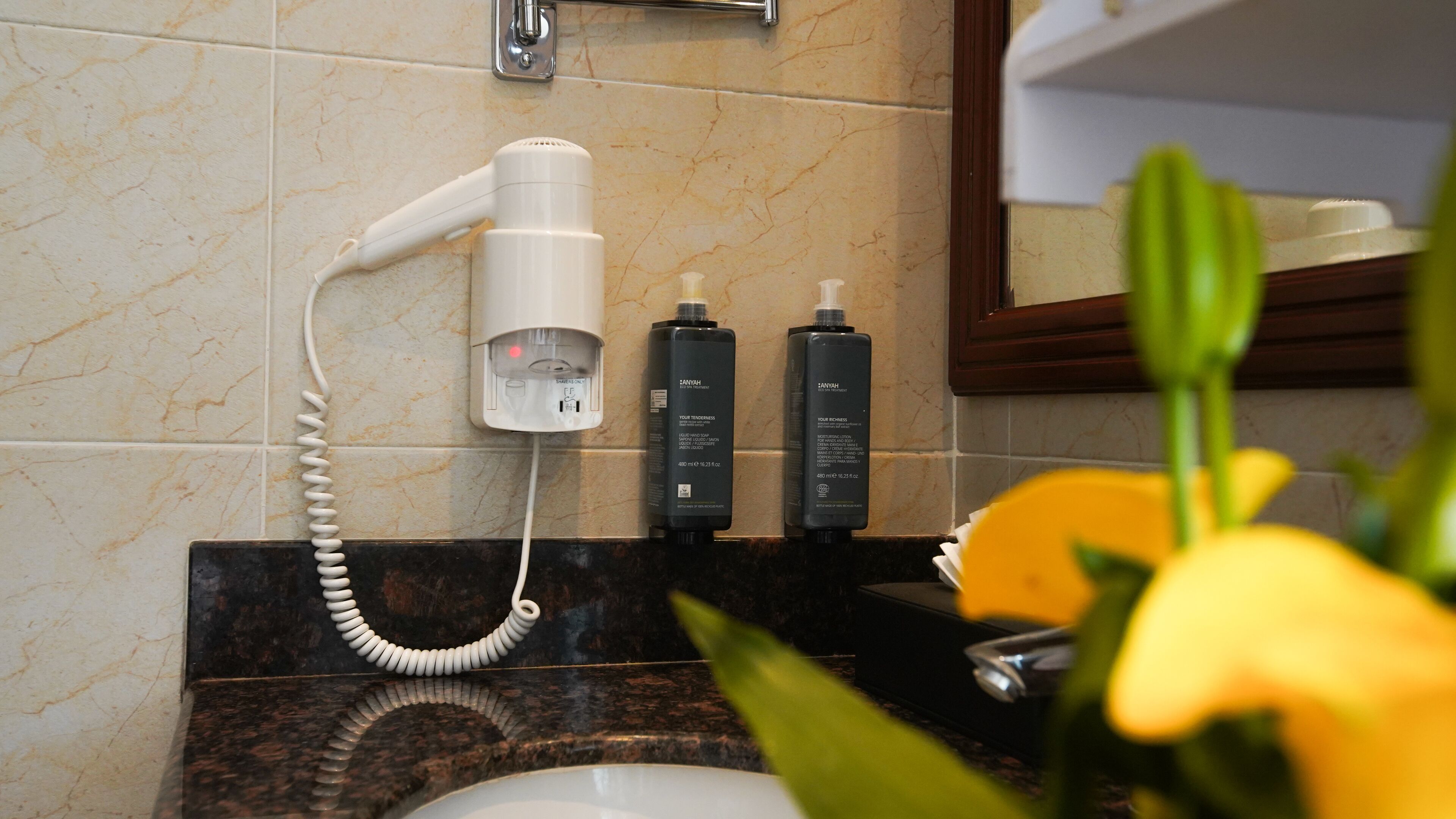 Un baño con secador de pelo, dos botellas de champú y un perchero para toallas.