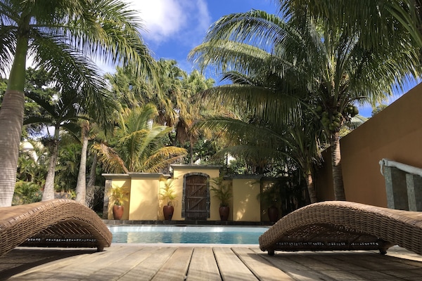 Outdoor pool, pool umbrellas, sun loungers