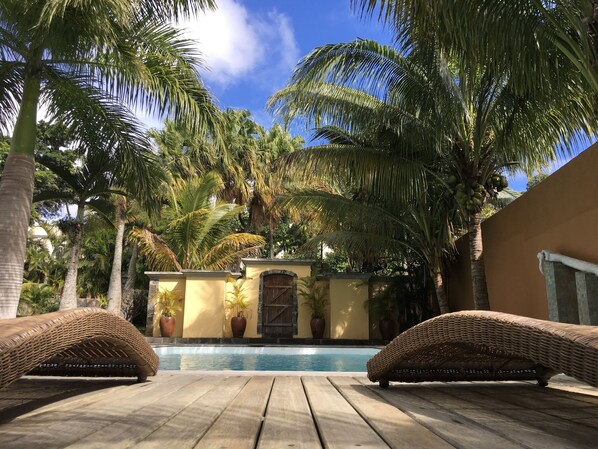 Outdoor pool, pool umbrellas, pool loungers