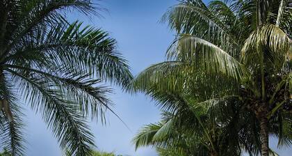 Maison D'HĂŽtes Coignet