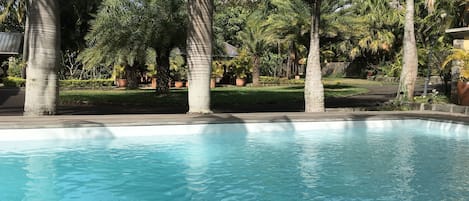 Piscine extérieure, parasols de plage, chaises longues