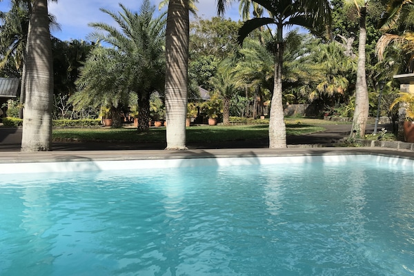 Una piscina al aire libre, sombrillas, tumbonas