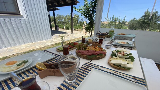 Una mesa dispuesta con diversos platos y bebidas, incluyendo un plato de huevos, un cuenco de aceitunas y una taza de té, en un espacio exterior para comer con vistas a árboles y colinas.