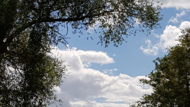 Une rivière bordée d’une végétation luxuriante, sous un ciel partiellement nuageux.