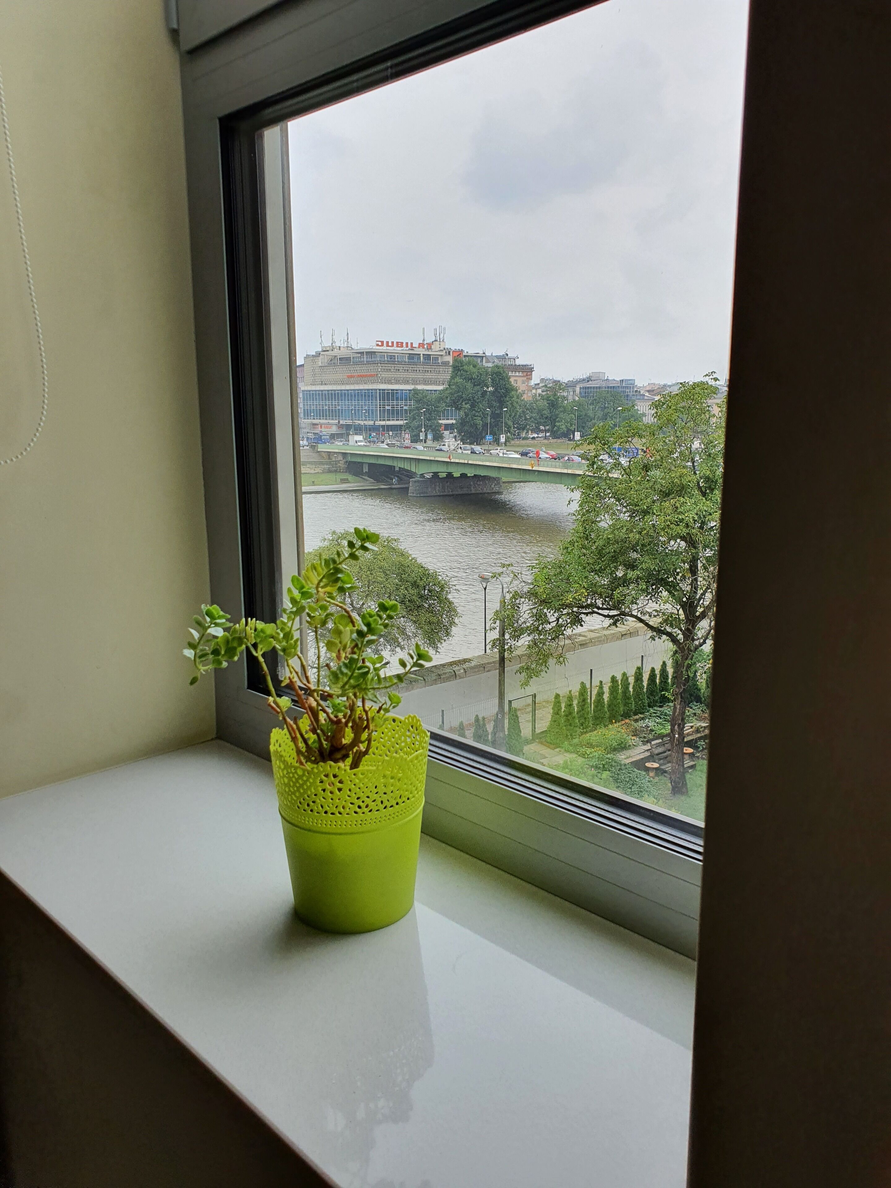 Een raam met een bloempot op een dakrand, met uitzicht op een rivier met een brug en gebouwen op de achtergrond.