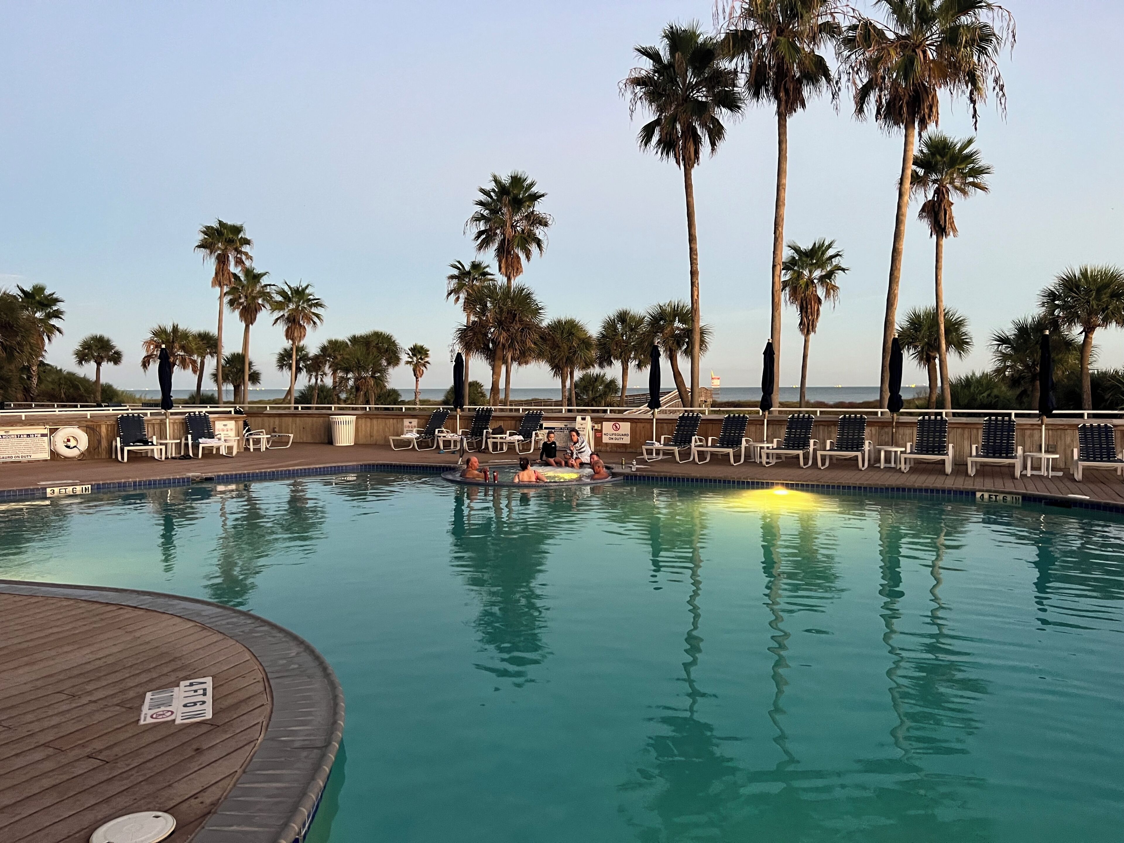 A swimming pool with lounge chairs and palm trees.