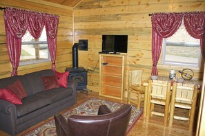 Télévision, cheminée, lecteur de DVD, livres