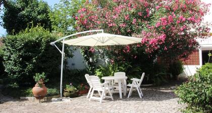 Patio Casa De Familia Em Canelas, Estarreja