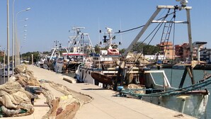 A marina with boats docked, a concrete walkway, and a clear sky. - Private flat in Rome Ostia Antica (Ostia Antica, Roma)