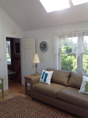 Smart TV, lareira, DVD player