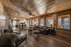 TV connectée, cheminée, lecteur de DVD, livres