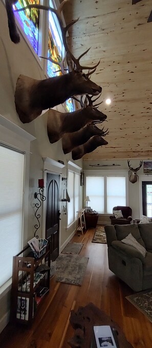 Interior - Beautifully Wild offers Year-Round Wonderment, Adventure & Peace 21-Z3031 (Bellvue)