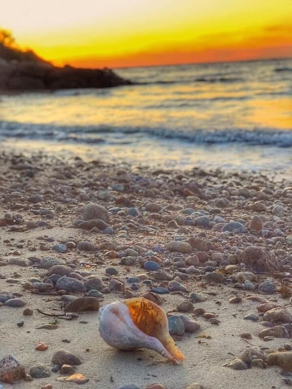 Playa en los alrededores, camastros y toallas de playa 