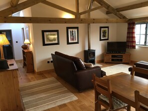 Televisio, takka, DVD-soitin, kirjoja