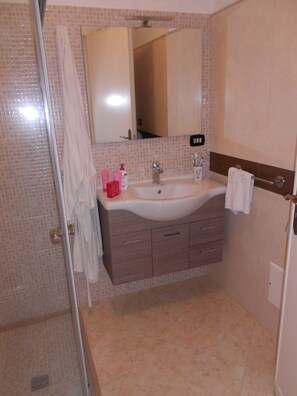 Shower, hair dryer, bidet, towels