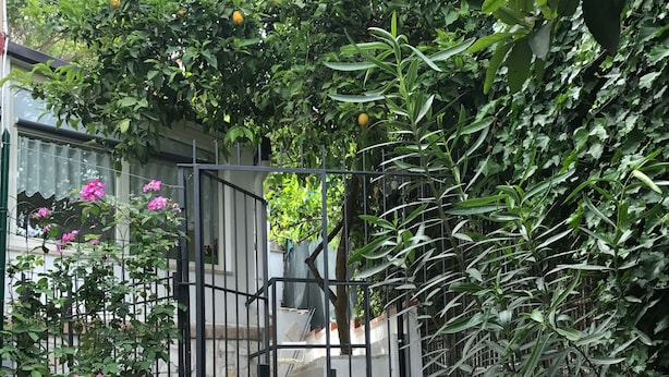 Una entrada protegida por una verja, con una escalera que conduce a un edificio, rodeado de abundante vegetación y plantas con flores.
