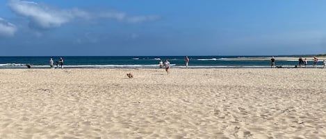 Nära stranden