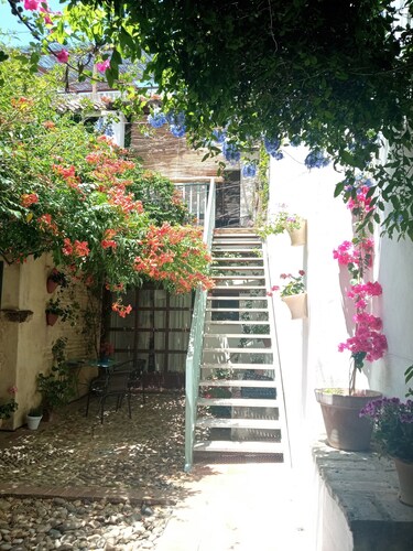 APARTMENT TERRACE-SOLARIUM JA OW PATIO, PATIO DEL LIMONERO