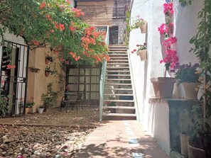 Property grounds - APARTMENT WITH TERRACE-SOLARIUM AND OWN PATIO, PATIO DEL LIMONERO (Córdoba)