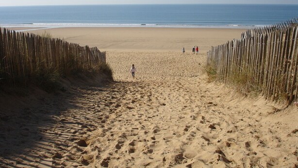 Een zandpad langs het strand, begrensd door houten golfbrekers.