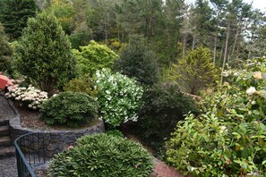 A garden with various shrubs and trees, stone steps, and a stone wall.