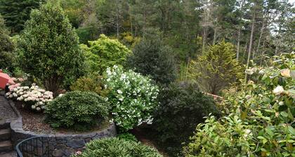 Casas de Pedra - The Azalea - Country house to relax and connect with nature