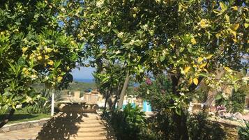 Área da propriedade